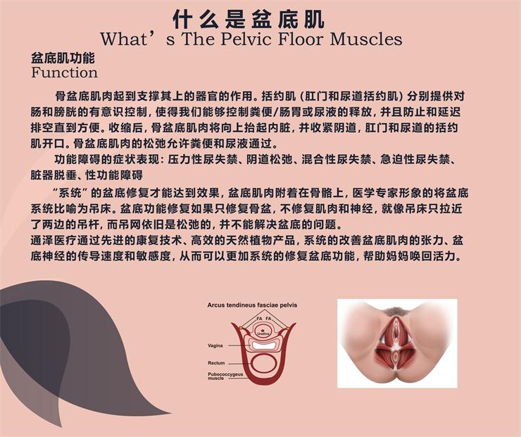 盆底肌修復(fù)儀器，能用于骨盆修復(fù)嗎？