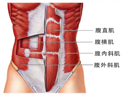腹直肌分離，它附近的肌肉是什么？