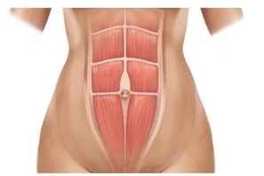 腹直肌分離怎么恢復？為什么現(xiàn)在越發(fā)重視腹直肌分離？