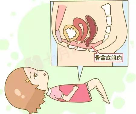 盆底康復治療有用嗎？為什么要做盆底肌修復？