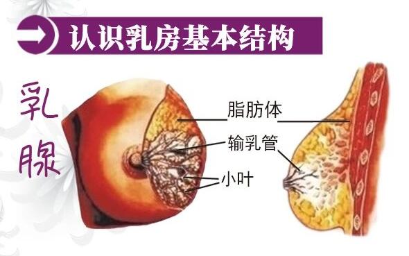 很多產(chǎn)后修復(fù)中心不知道生物反饋治療儀是什么？