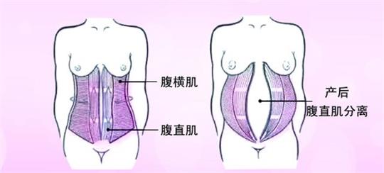 產(chǎn)后修復(fù)中心小型變大型，母乳分析儀器是專(zhuān)業(yè)性的體現(xiàn)