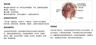 產(chǎn)后恢復(fù)中心加盟，做月子不再是一蹴而就