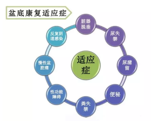 都在想盆底康復(fù)治療儀品牌，為何別人看的是盆底康復(fù)治療儀的功效與作用