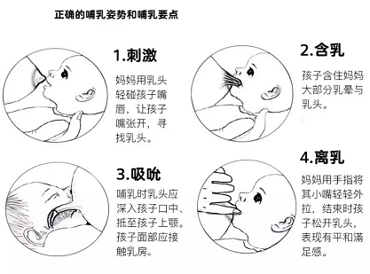母乳檢測因人而異，但母乳分析儀產(chǎn)后修復(fù)中心必須具備