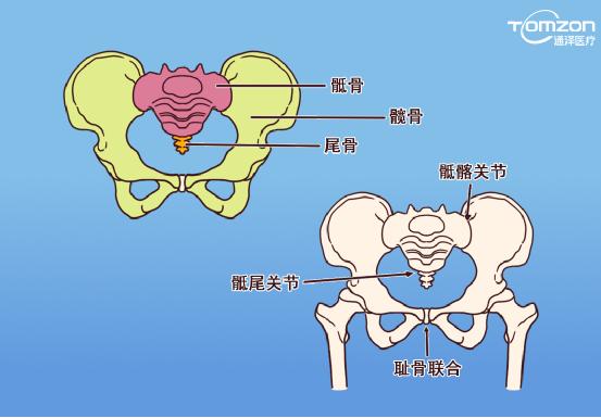 盆底肌康復(fù)儀能不能呵護(hù)健康？