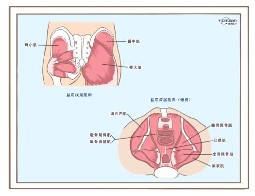 盆底康復(fù)治療儀可以緩解絕經(jīng)后出現(xiàn)的癥狀嗎？